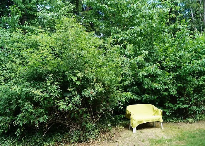 בית הארחה Gaestehaus Am Steinwald